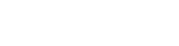 Novator Partners LLP